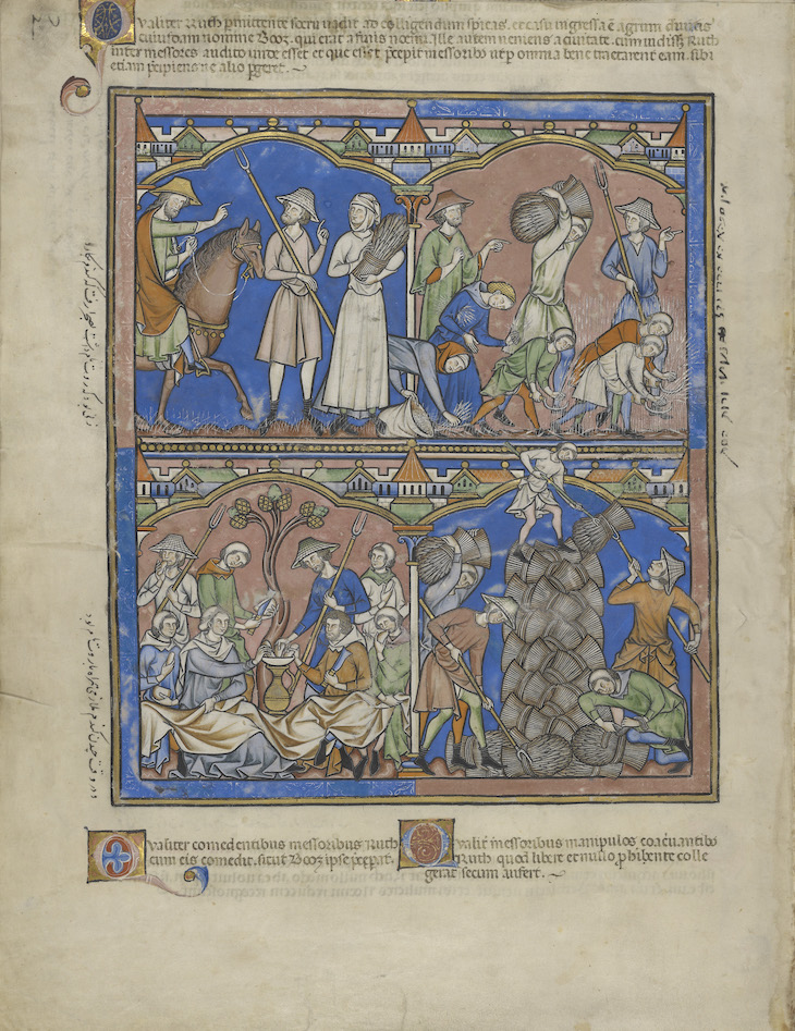 Boaz Asks Ruth’s Identity; Ruth Gleaning; Ruth Dines with Boaz; Workers Stacking the Crop of Boaz in "Crusader Bible" (c. 1250).