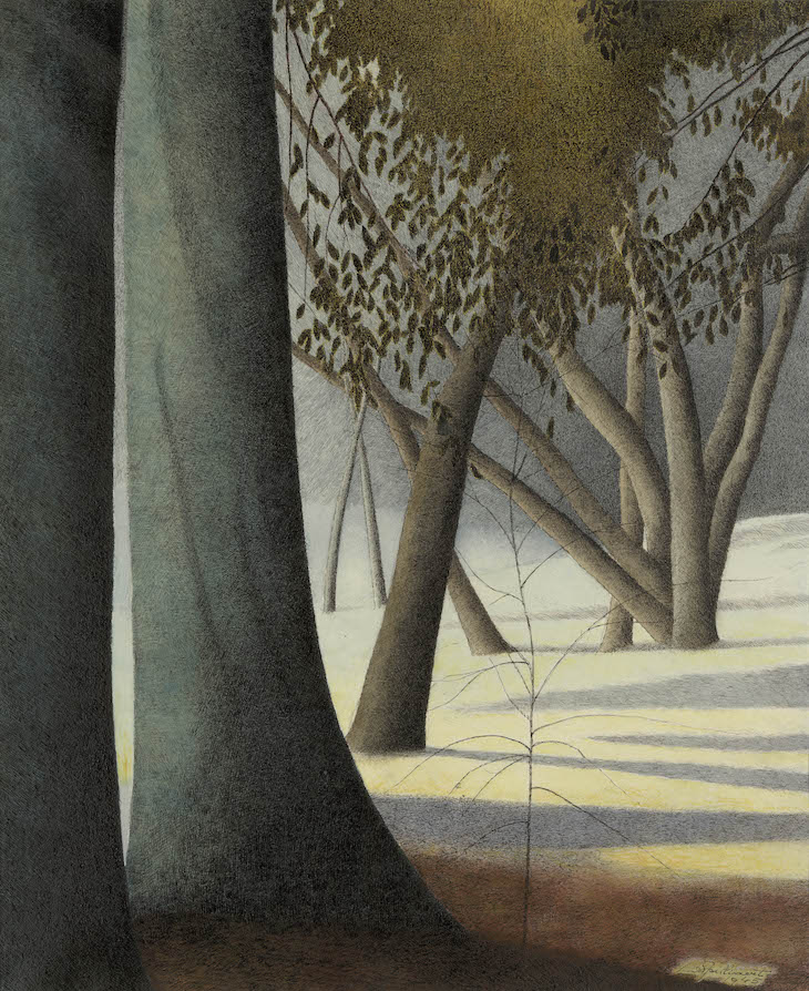 Beech Trunks. Shadows (1945), Léon Spilliaert. 