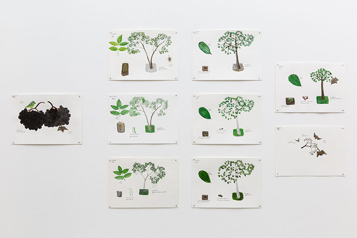 Installation view of ‘Abel Rodríguez’ at BALTIC Centre for Contemporary Art, Gateshead, 2020.