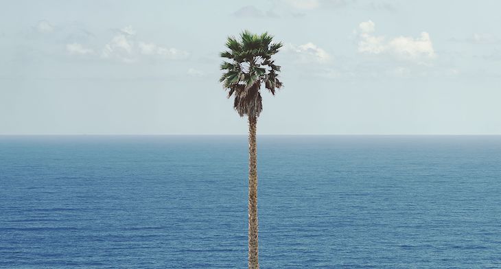 Palm Tree/Seascape (2010), John Baldessari.