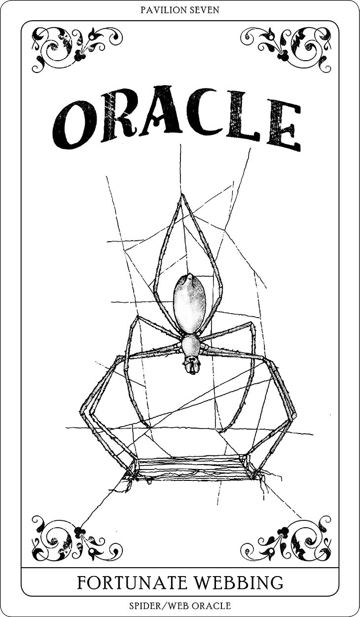 One of Tomás Saraceno’s Arachnomancy Cards (2019). Courtesy the artist; © Studio Tomás Saraceno, 2019