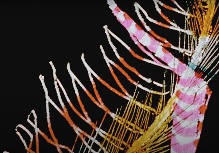 Begone Dull Care (still; 1949), Evelyn Lambart and Norman McLaren (with The Oscar Peterson Trio)