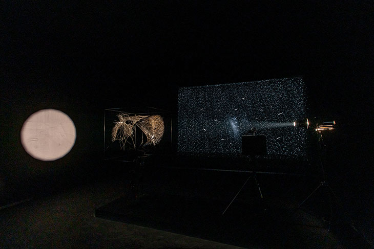 Installation view of ‘Tomás Saraceno: Aria’ at Palazzo Strozzi, Florence.