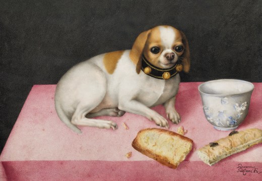 Lapdog with Biscotti and a Chinese Cup (c. 1648), Giovanna Garzoni. Gallerie degli Uffizi, Florence