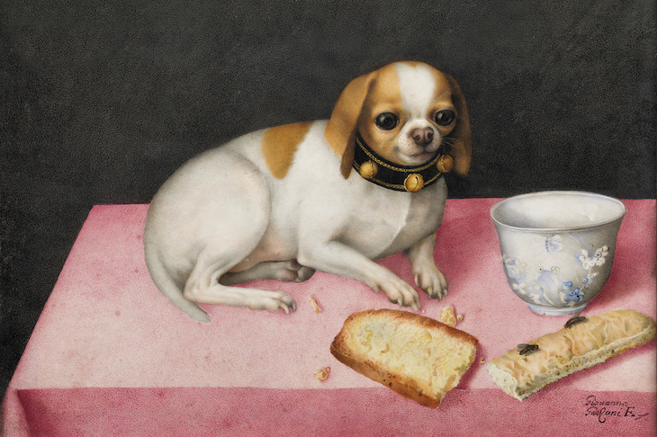 Lapdog with Biscotti and a Chinese Cup (c. 1648), Giovanna Garzoni. Gallerie degli Uffizi, Florence