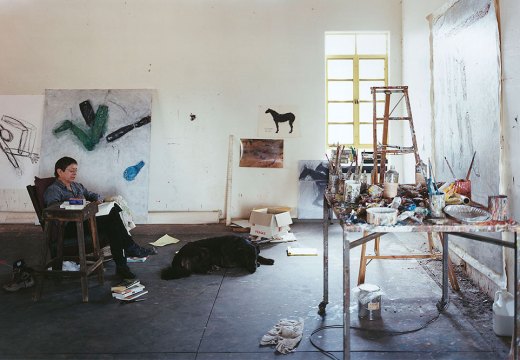 Susan Rothenberg in her studio in New Mexico in 2008.