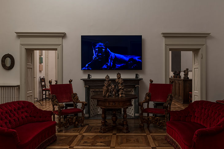Installation view of Robert Wilson’s Ivory: Blank Panther video portrait.