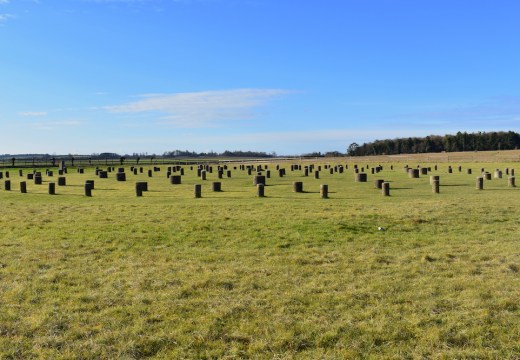 The site of Woodhenge near the Durrington Walls in Wiltshire, at the centre of the proposed Durrington Shafts pit-circle.