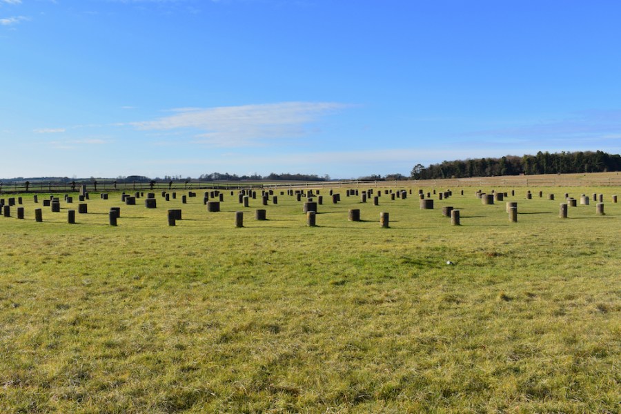 The site of Woodhenge near the Durrington Walls in Wiltshire, at the centre of the proposed Durrington Shafts pit-circle.
