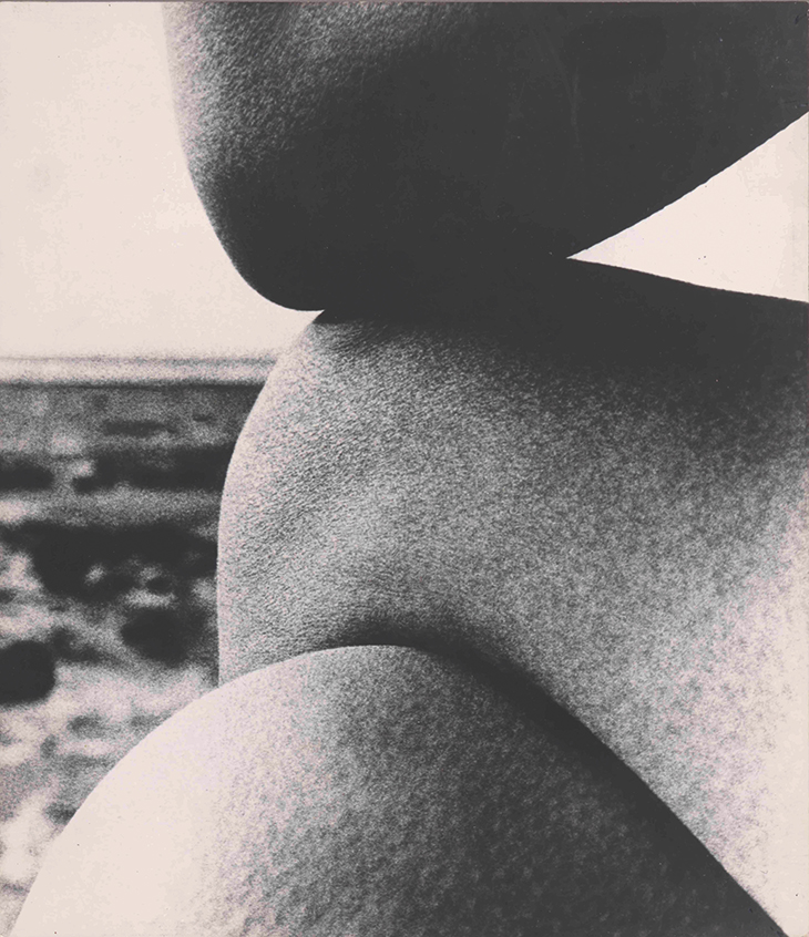 Nude, East Sussex Coast (1959), Bill Brandt.