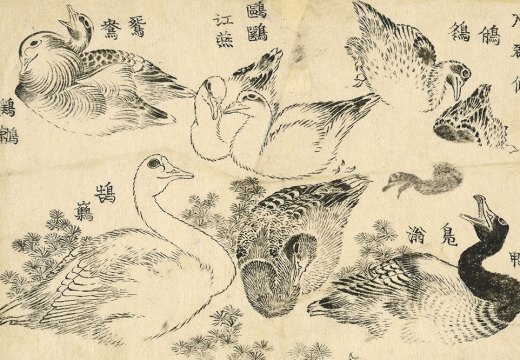 Water Birds (1829), Katsushika Hokusai.