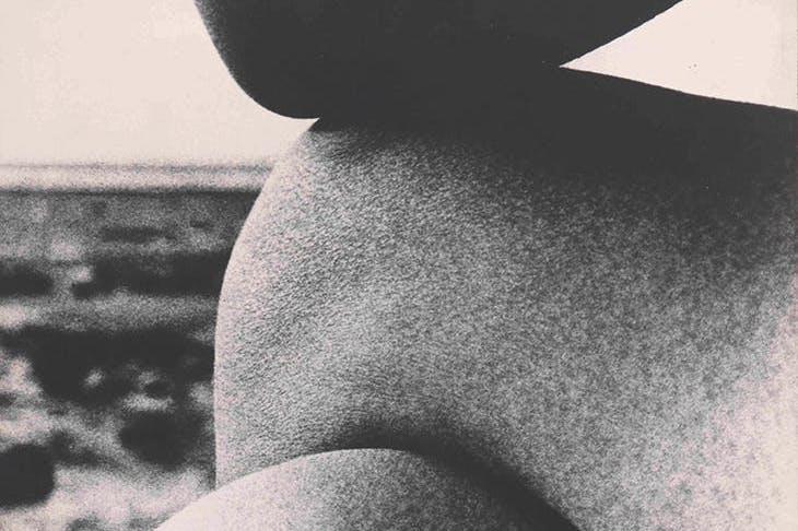 Nude, East Sussex Coast (detail; 1959), Bill Brandt.