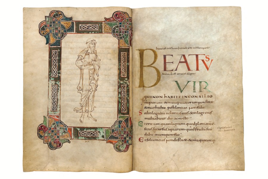 The frontispiece and opening of the MS 411 psalter.