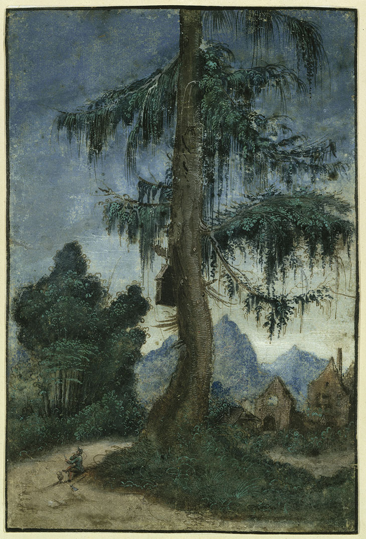 Landscape with Spruce Tree (c. 1522), Albrecht Altdorfer. Kupferstichkabinett, Staatliche Museen zu Berlin.