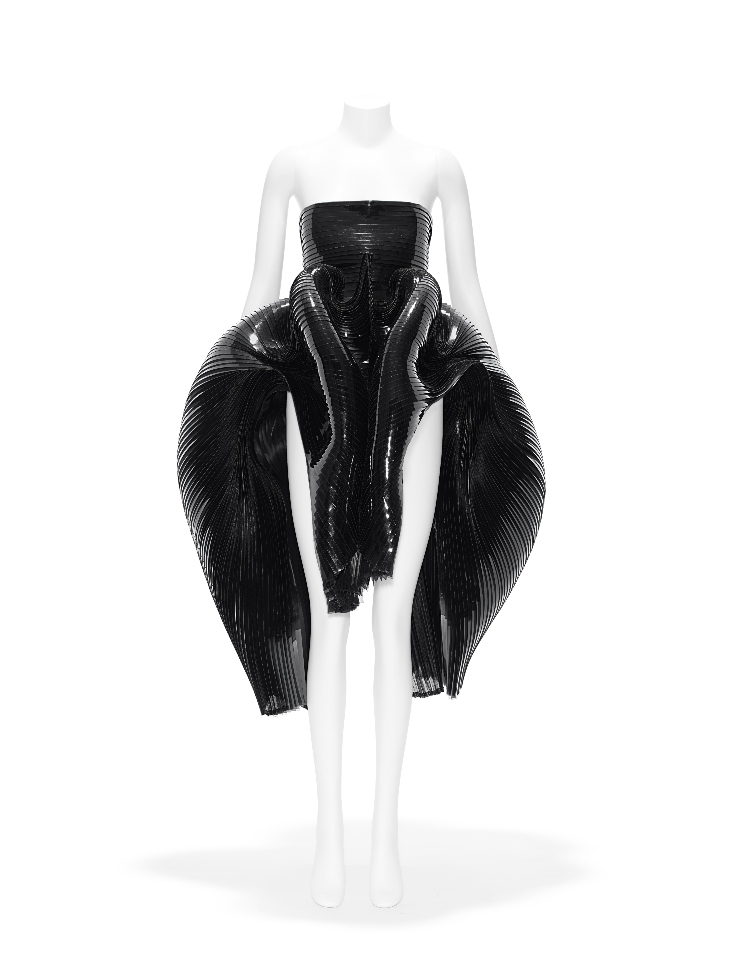Dress (2012-13), Iris Van Herpen.