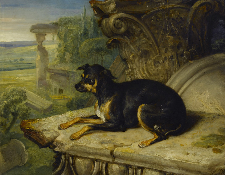 Fanny, a Favourite Dog (1822), James Ward. 