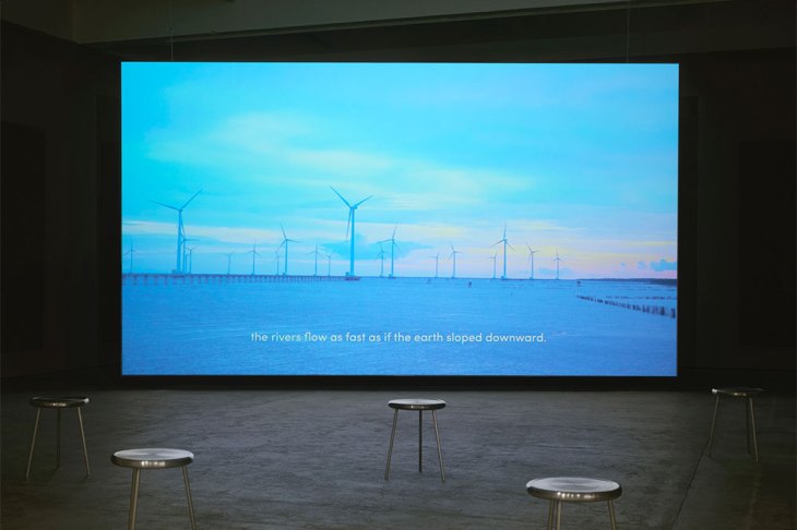 (2019), Thao Nguyen Phan. Installation view at Chisenhale Gallery, London, 2020.