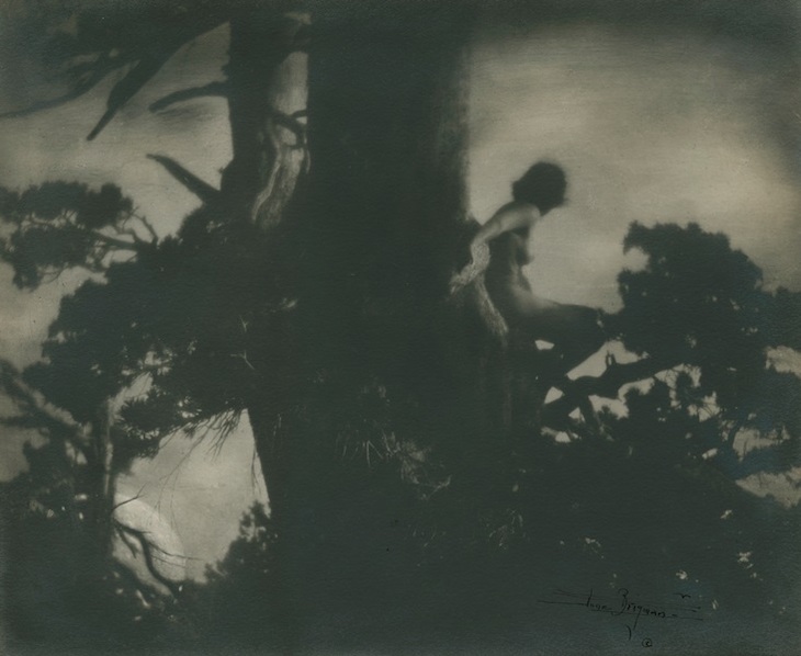 The Pine Sprite (1911), Anne Brigman. 