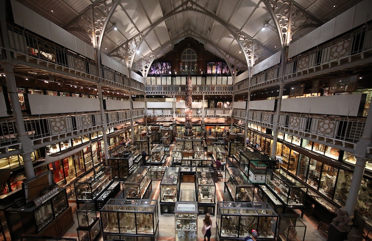 The interior of the Pitt Rivers Museum. 