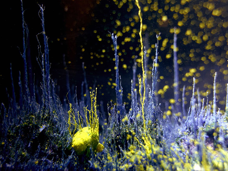 Still from Présage (2007–ongoing), Hicham Berrada’s contribution to the Yokohama Triennale in 2020.
