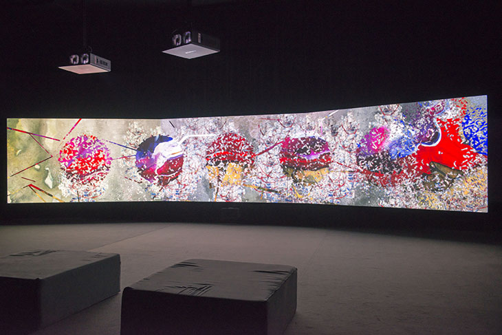 Parallax (2013), Shahzia Sikander. Installation view at Pera Museum, Istanbul, 2020.