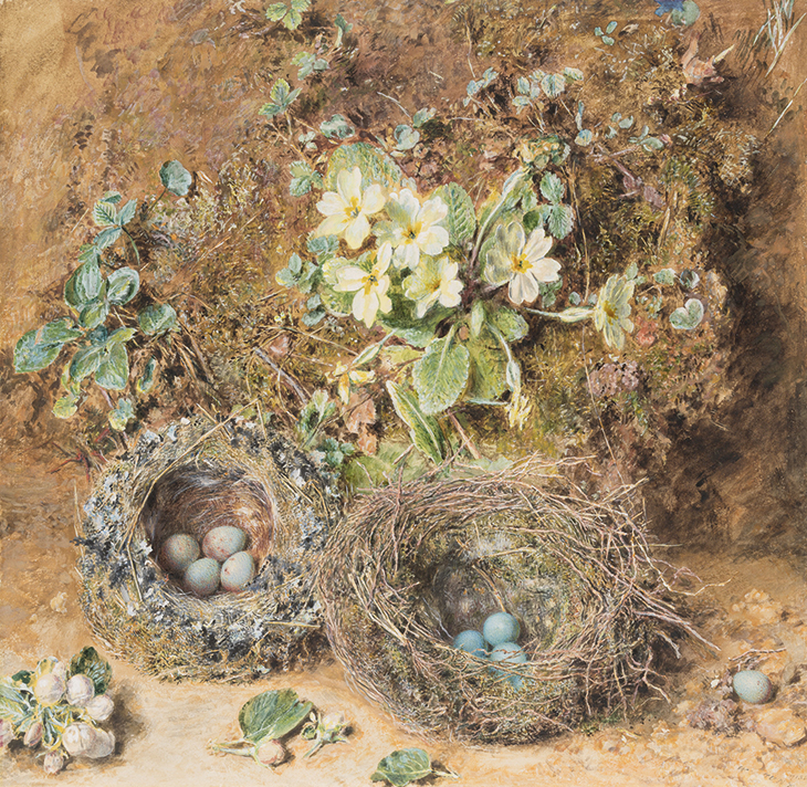 Primroses and Bird’s Nests (1850), William Henry Hunt. Victoria and Albert Museum, London