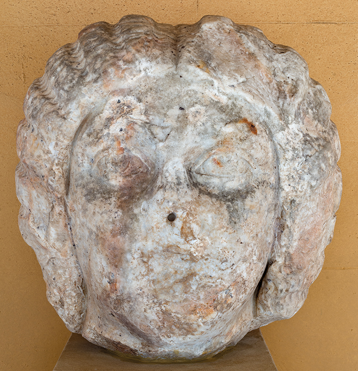 Head of the Empress Julia Domna (193–211 AD), Roman. Wilton House, Wiltshire.