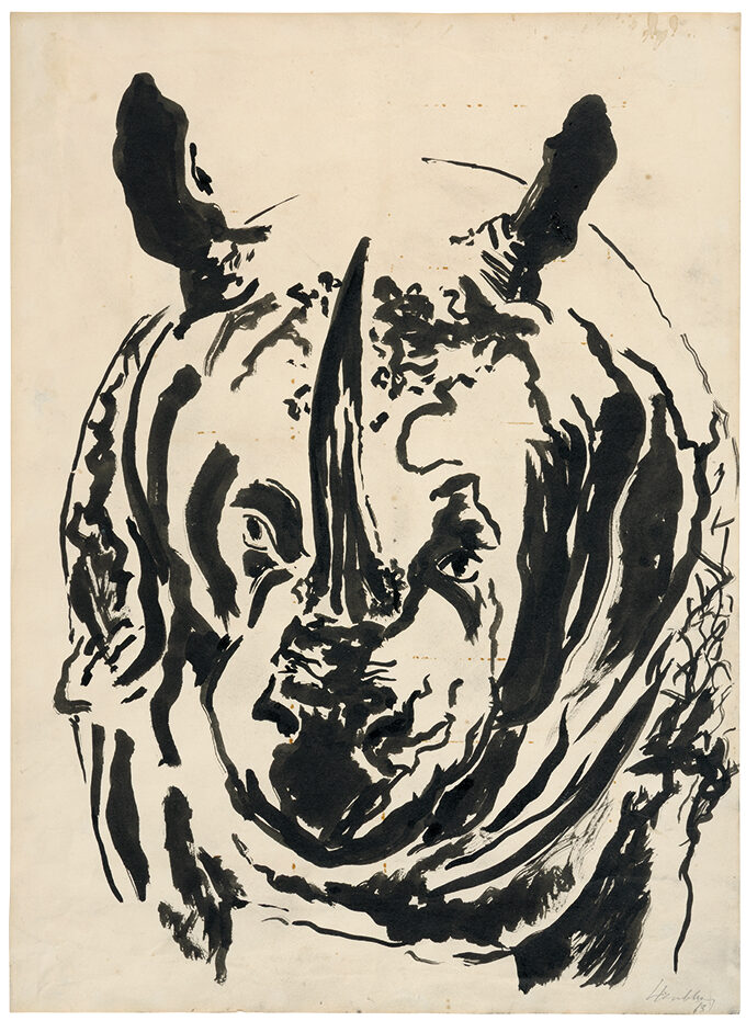 Rosie, the stuffed rhinoceros in Ipswich Museum (1963), Maggi Hambling. British Museum, London.