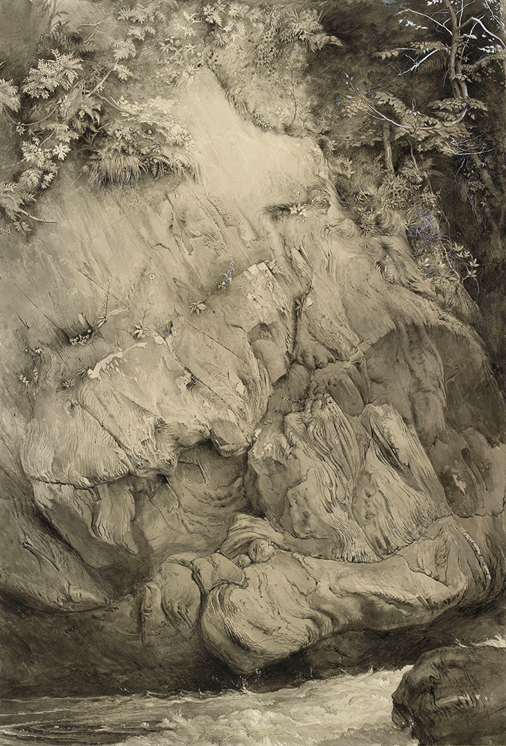 Study of Gneiss Rock, Glenfinlas (1853–54), John Ruskin. Ashmolean Museum, Oxford