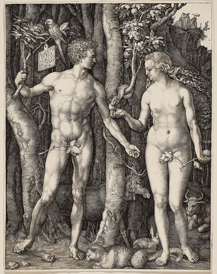 Adam and Eve (1504), Albrecht Dürer. Metropolitan Museum of Art, New York