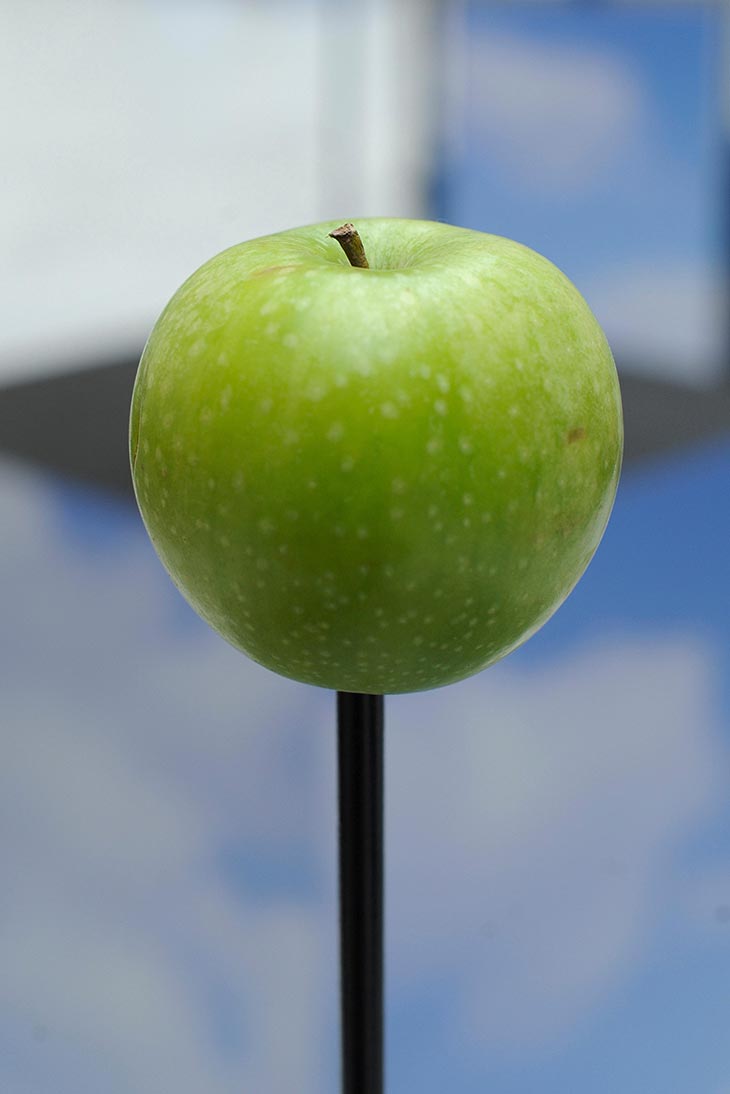 A green apple displayed at the opening of Musée Magritte, Brussels, in 2009.