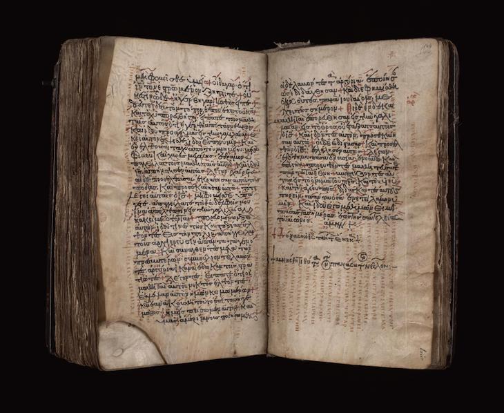 The Codex Zacynthius.