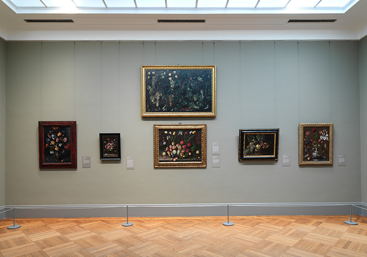 Installation view of Gallery 627, dedicated to still lifes, with works by Clara Peeters and Orsola Maddalena Caccia.