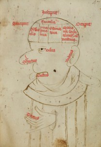 Diagram of the brain and senses in the Pseudo-Augustine De spiritu et anima (mid 13th century). Trinity College, Cambridge.
