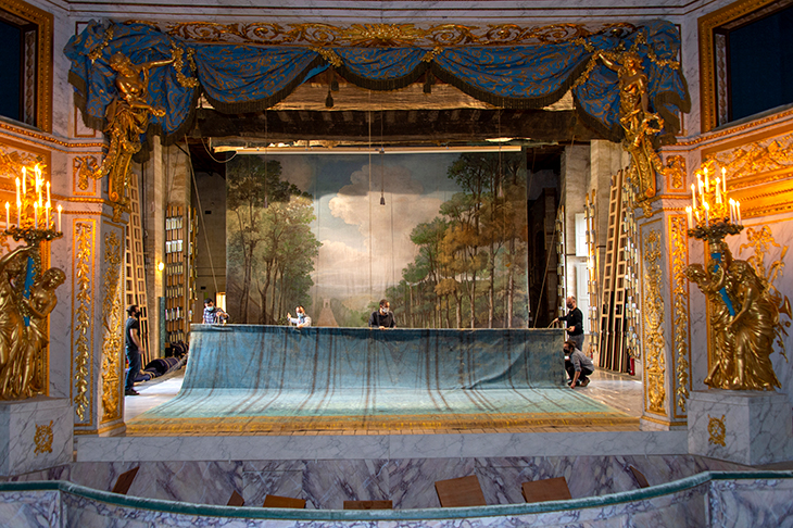 The stage curtain during restoration, with a 19th-century forest backdrop painted by Pierre-Luc-Charles Cicéri and his workshop.