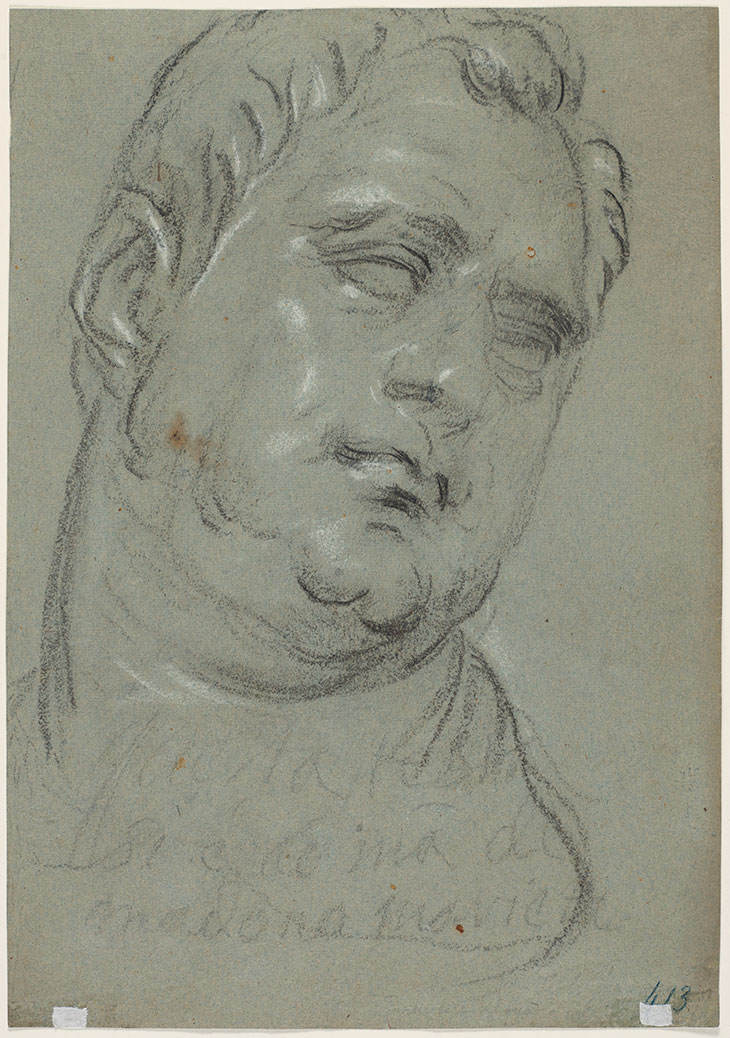 Head of a man, after the antique