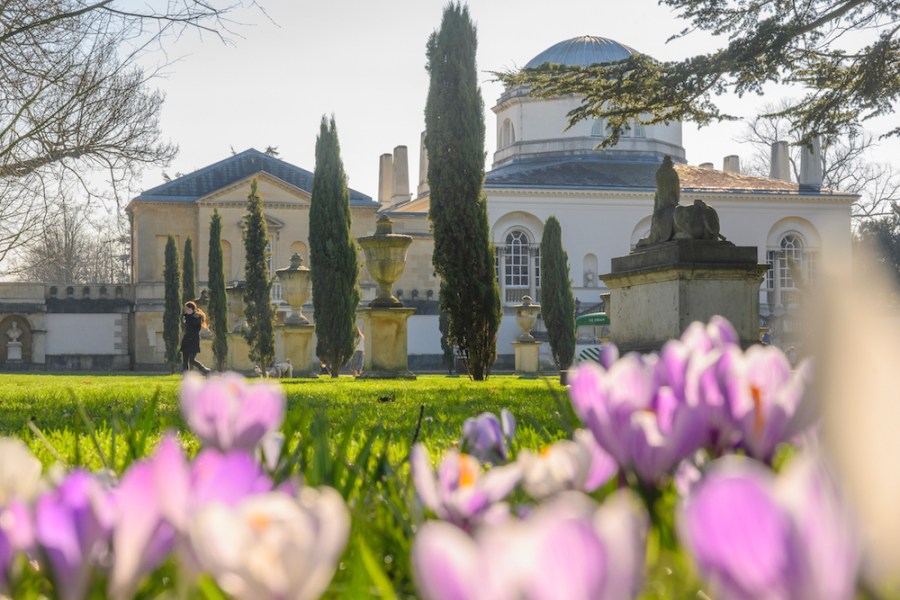 Chiswick House, from the gardens