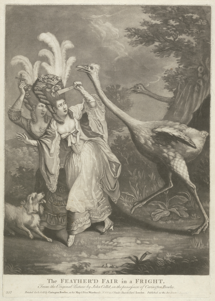 The Feather’d Fair in a Fright (1770s), after John Collet. 