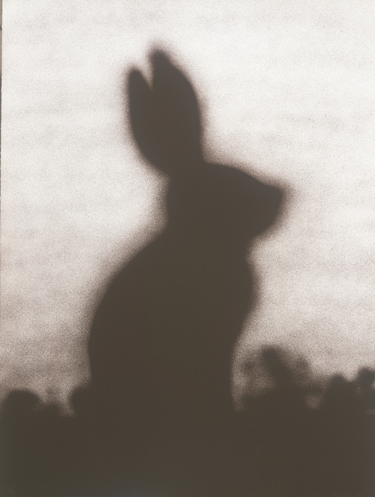 Rabbit (1986), Edward Ruscha. Los Angeles County Museum of Art