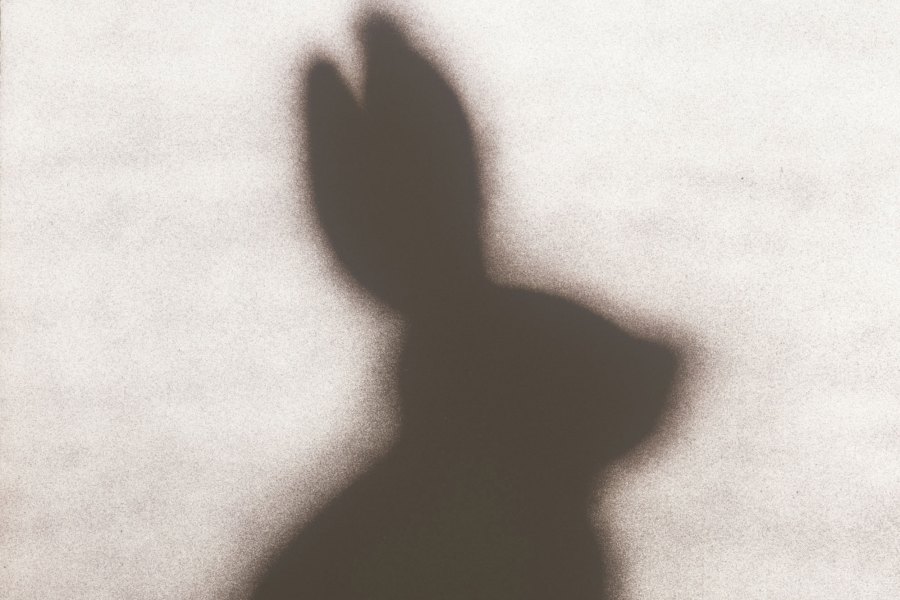 Rabbit (1986), Edward Ruscha. Los Angeles County Museum of Art