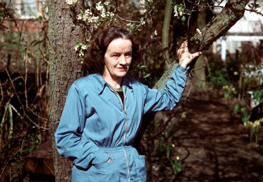 Barbara Hepworth in 1957.