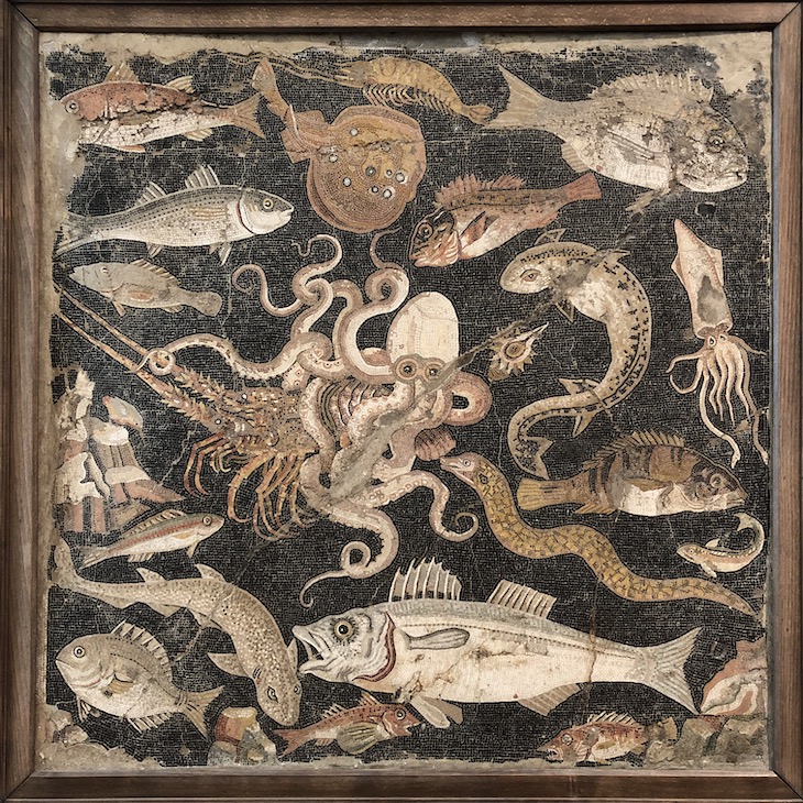 Ocean floor: mosaic from the House of the Dancing Faun, Pompeii