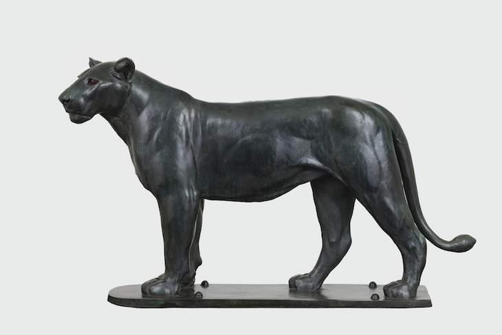 Big Standing Lioness (1899-1901), August Gaul. 