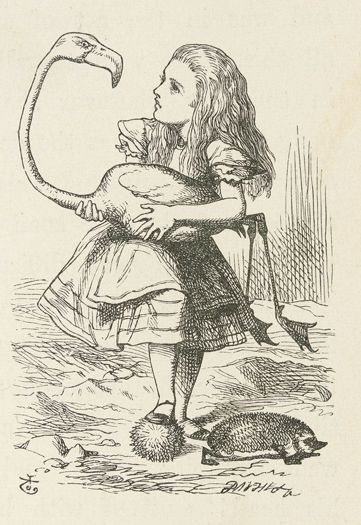 Alice holding her flamingo, from John Tenniel’s Alice in Wonderland (1865)