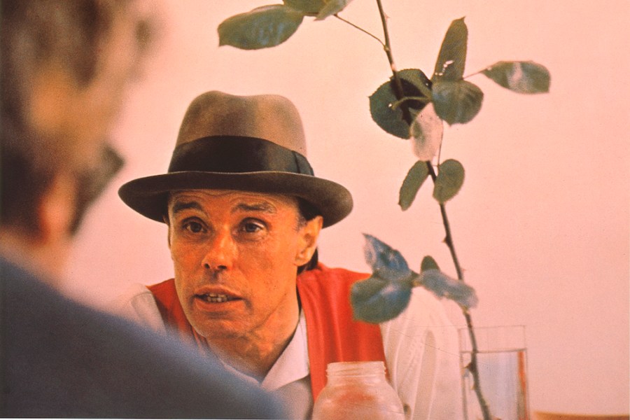 We can't do it without the rose (detail; 1972), Joseph Beuys.