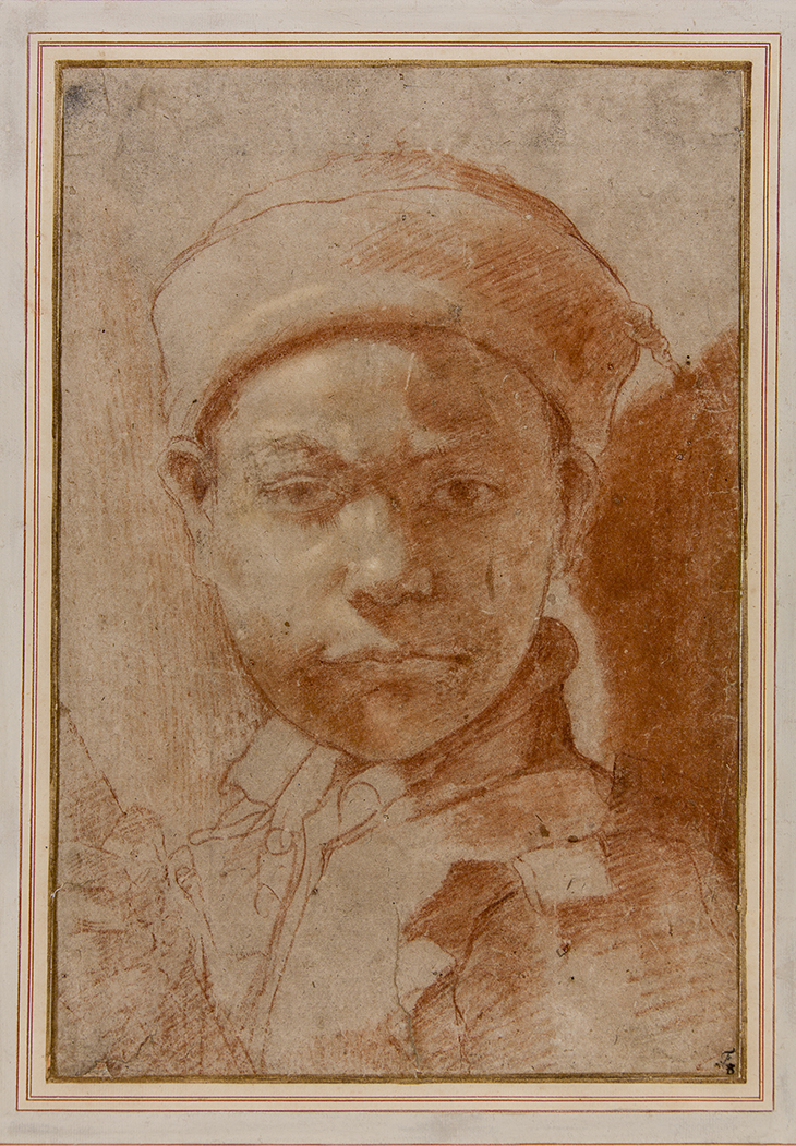 Portrait of a youth (16th century), Annibale Carracci.