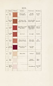 ‘Red’ in Werner’s Nomenclature of Colours (1821), Patrick Syme