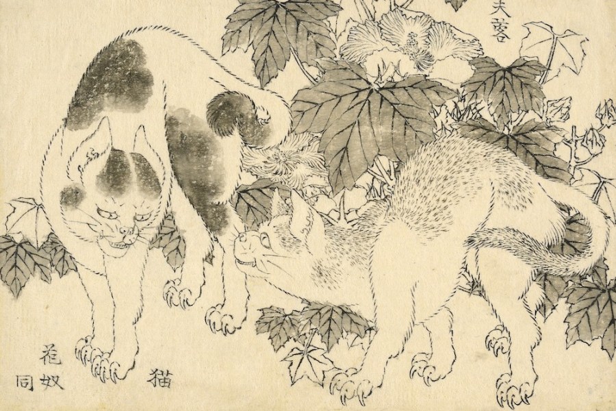 ‘Cats and hibiscus’, from the Great Picture Book of Everything (1820s–40s), Katsushika Hokusai.