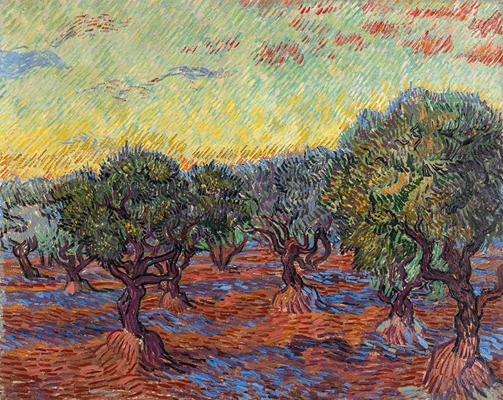 Olive Grove, Saint-Rémy (1889), Vincent van Gogh. 