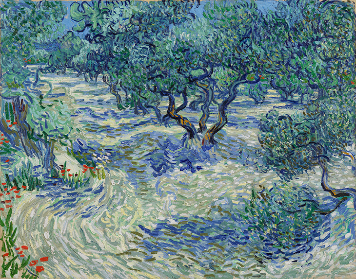 Olive Trees (1889), Vincent van Gogh, 